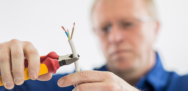 DGUV Vorschrift 3-Check bei Elektro Griesa in Annaburg